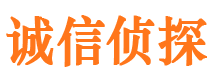 长武侦探